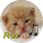 chamar_gato android application logo